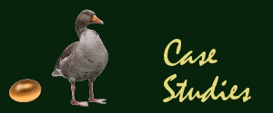 Go to Case Studies Go to category Case Studies