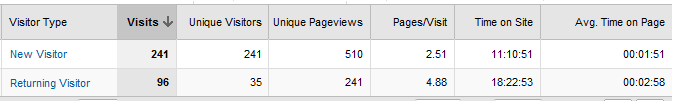 Google Analytics Screenshot showing visitor types during January 2011