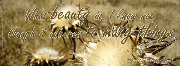 What beauty is, I know not, though it adheres to many things - Albrecht Dürer