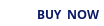 buy it now button